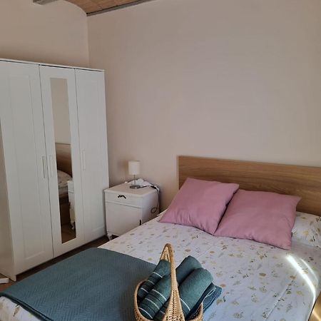 El Niu Dels Ocells Apartment Sant Joan de les Abadesses Ngoại thất bức ảnh