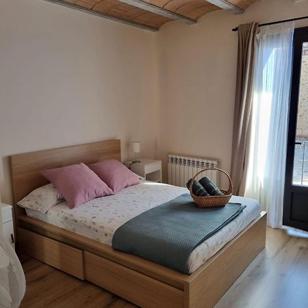 El Niu Dels Ocells Apartment Sant Joan de les Abadesses Ngoại thất bức ảnh