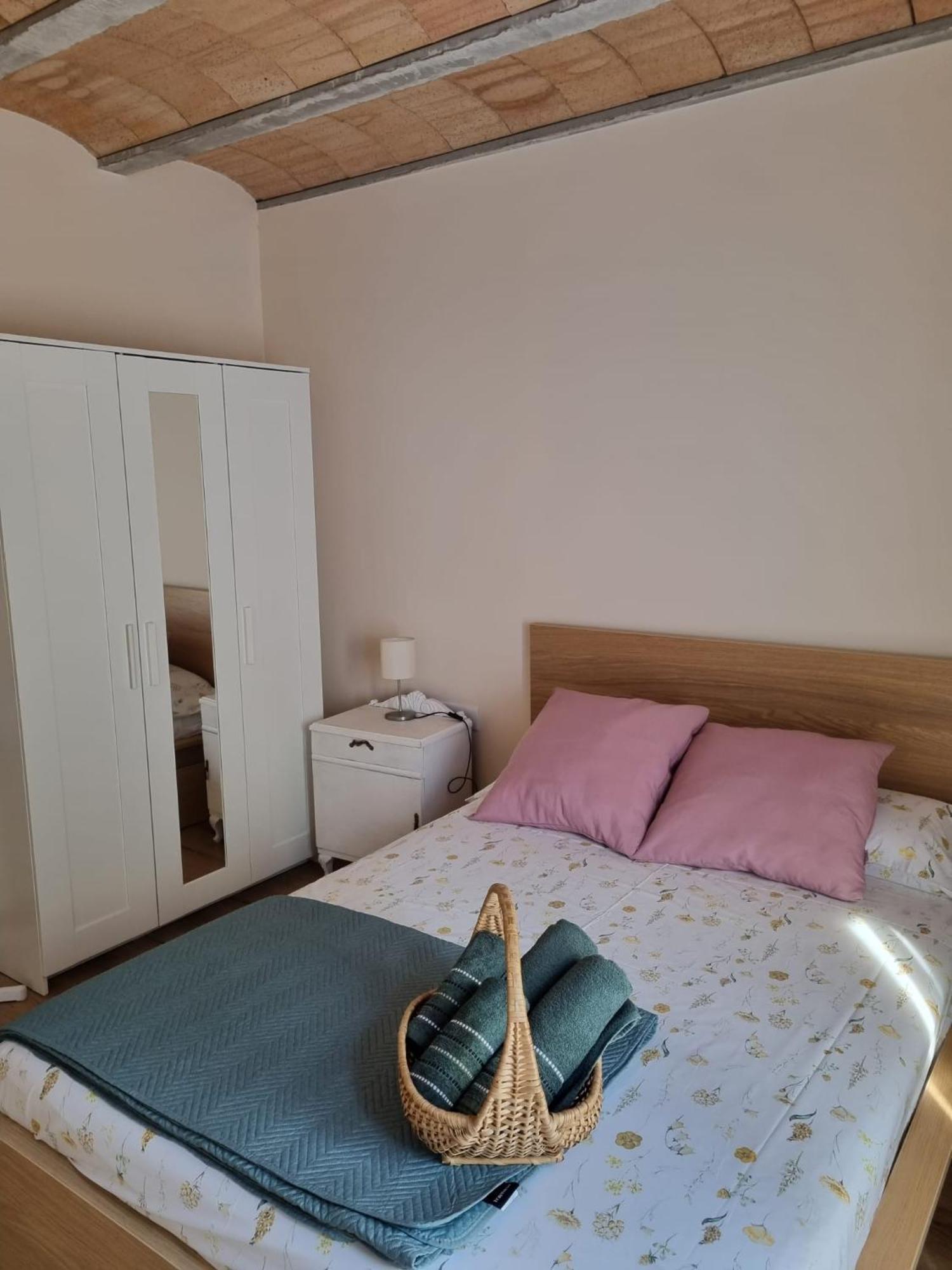 El Niu Dels Ocells Apartment Sant Joan de les Abadesses Ngoại thất bức ảnh
